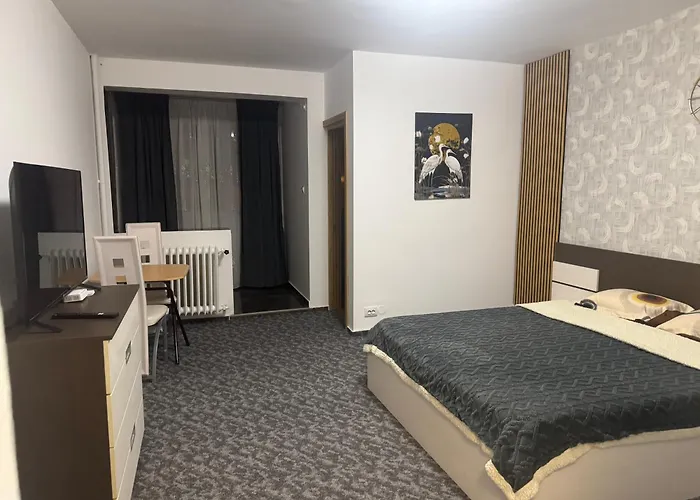 Garsoniera Single 25 *