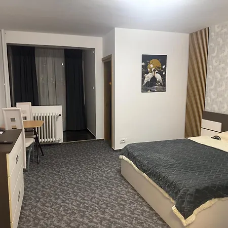 Garsonieră Single 25 *